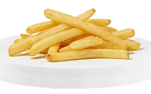 PLAIN FRIES